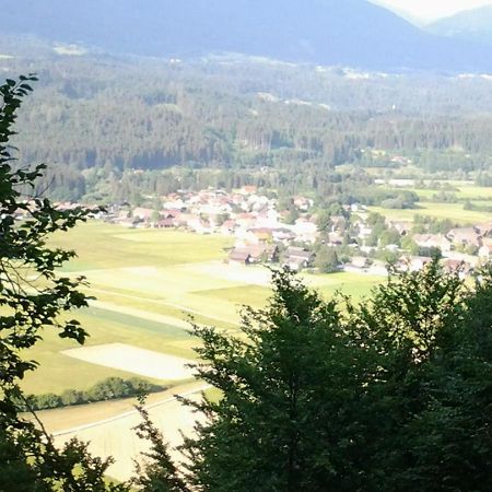Ferienhaus Dorfruhe Sankt Stefan an der Gail Екстериор снимка