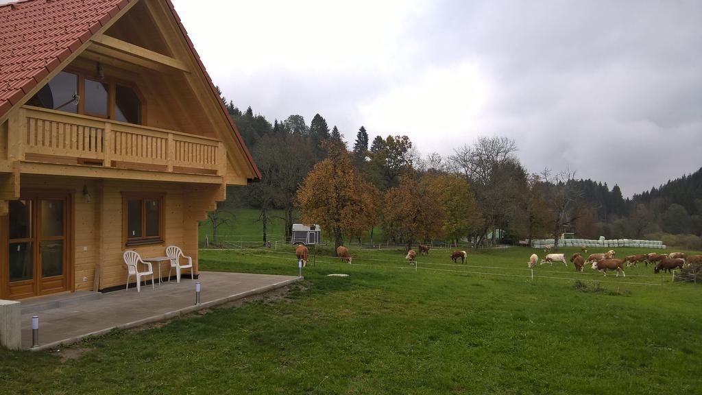 Ferienhaus Dorfruhe Sankt Stefan an der Gail Стая снимка
